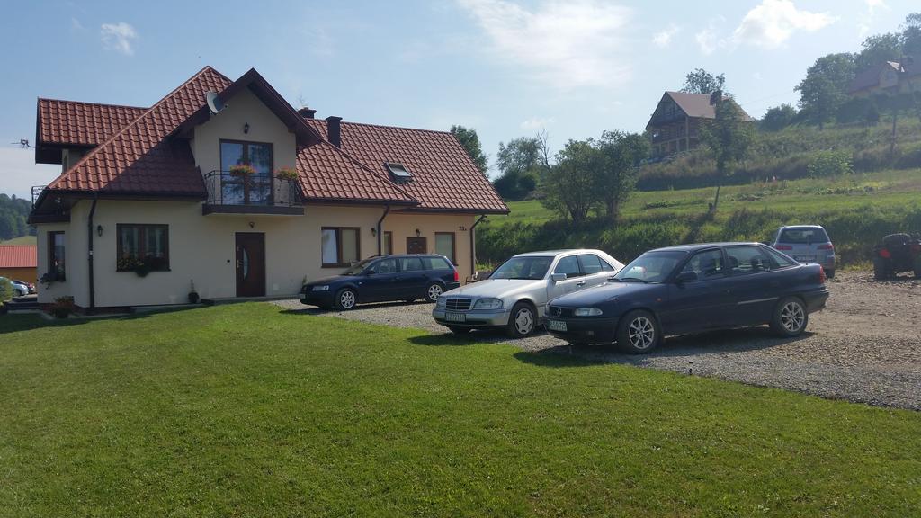 Pensjonat Na Zielonym Wzgorzu Zawoz Exterior photo